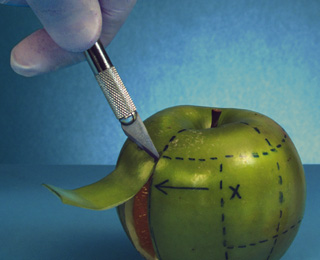 呼死你在线使用